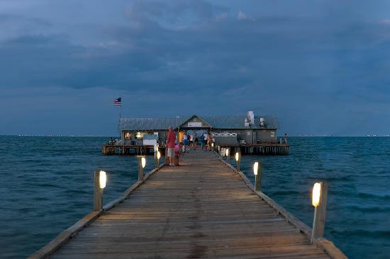 Anna Maria Island, city pier restaurant, private charter, dolphins