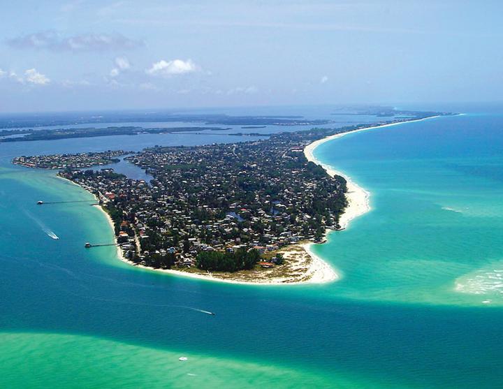 Anna Maria Island private charter, dolphins