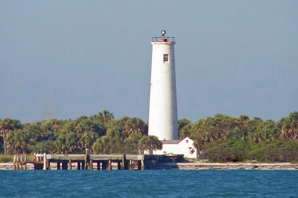 Egmont Key, Anna Maria Island, private charter, dolphins
