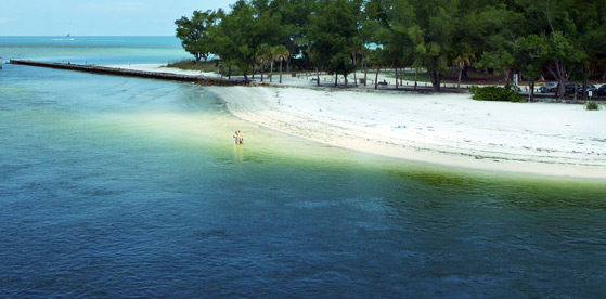 Anna Maria Beach Sarasota The Best Beaches In World Anne Marie Beach Florida The Best Beaches In World